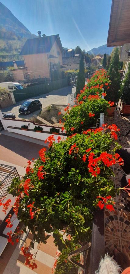 Casa Mimi Apartment Baile Herculane Exterior photo