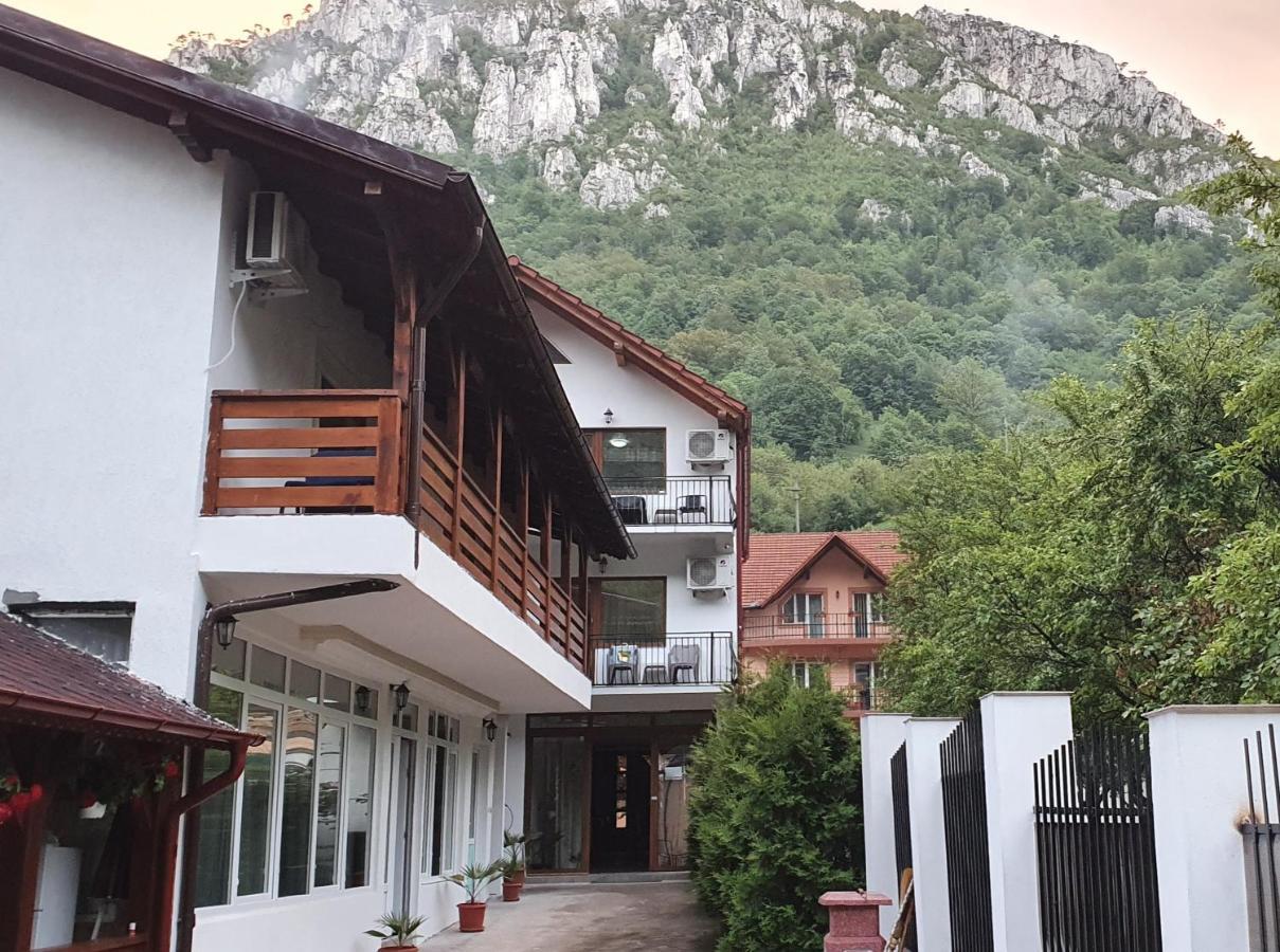 Casa Mimi Apartment Baile Herculane Exterior photo